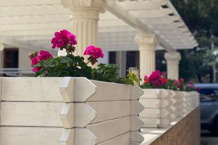 Внешний вид